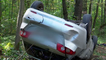 В Нижнекамске завершился суд по делу водителя, насмерть сбившего 71-летнего грибника - НТР 24