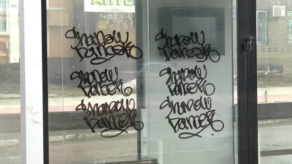 В Нижнекамске неизвестные разрисовали граффити остановки и стены в экстрим-парке - НТР 24