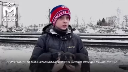 Школьник из Казани спас щенков, привязанных к вагону поезда