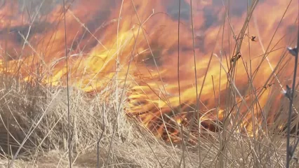 В Нижнекамском районе определены самые пожароопасные населенные пункты - НТР 24