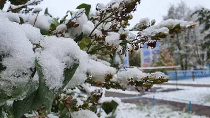 На выходных в Татарстане похолодает до -11 градусов