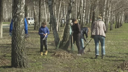Министр экологии РТ призвал татарстанцев выйти на уборку улиц от мусора