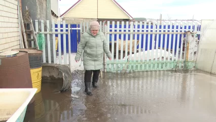 Талые воды затопили дома в селе Нижнекамского района – жителям оказывают помощь