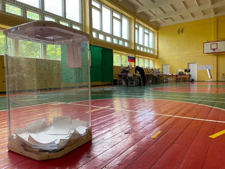 Эксперт из РТ: «Выборы должны проходить прозрачно и законно»