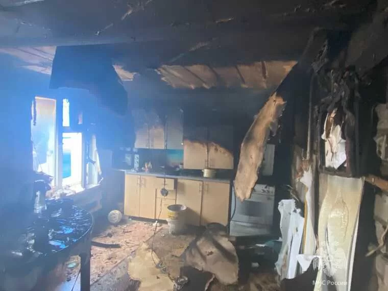 В Татарстане женщина захотела копчёного сала и устроила пожар