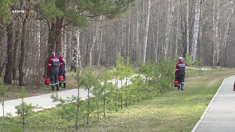 В Нижнекамске приступят к обработке парков и лесного массива от клещей