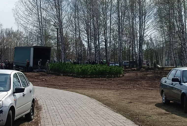 Высадка кедров в нижнекамском парке «СемьЯ» состоится 22 апреля