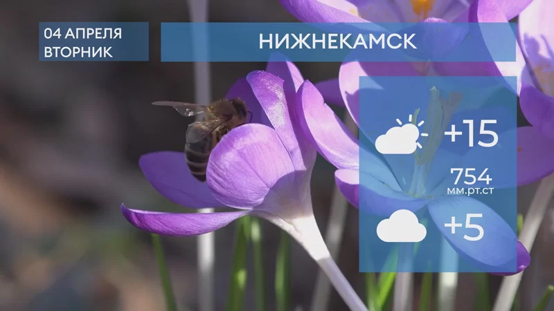 Прогноз погоды в Нижнекамске на 4-е апреля 2023 года