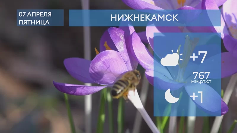 Прогноз погоды в Нижнекамске на 7-е апреля 2023 года