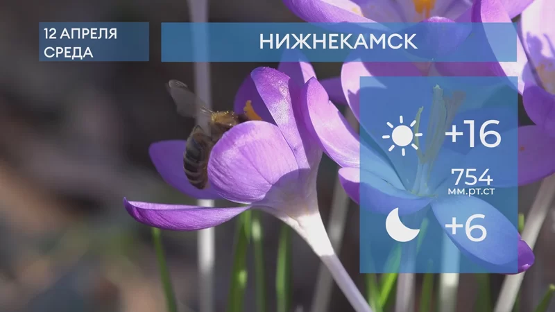 Прогноз погоды в Нижнекамске на 12-е апреля 2023 года