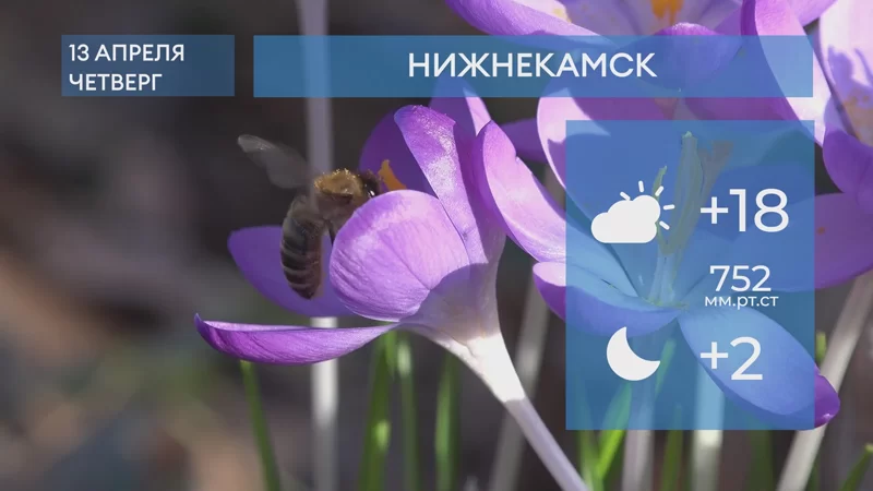 Погода в Нижнекамске на 13-е апреля 2023 года