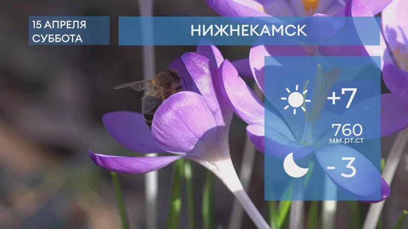 Прогноз погоды в Нижнекамске на 15-е апреля 2023 года
