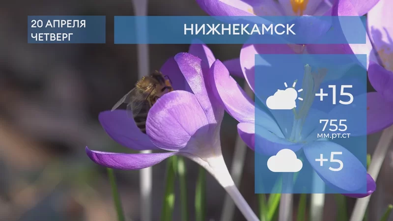 Прогноз погоды в Нижнекамске на 20-е апреля 2023 года