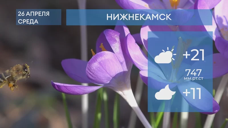 Прогноз погоды в Нижнекамске на 26-е апреля 2023 года