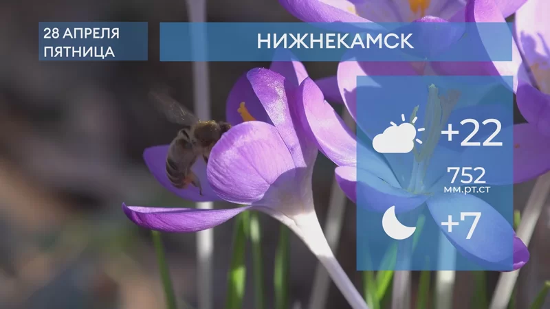 Прогноз погоды в Нижнекамске на 28-е апреля 2023 года