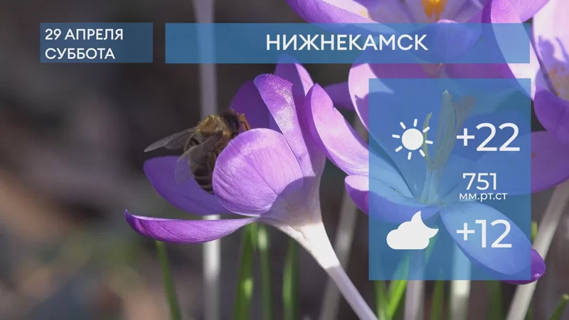 Прогноз погоды в Нижнекамске на 29-е апреля 2023 года