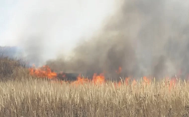 В Нижнекамском районе с начала года произошло 77 пожаров, связанных с возгоранием сухостоя и мусора