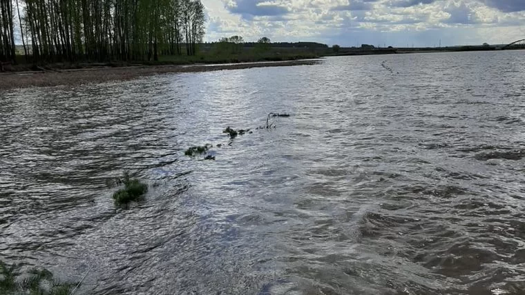 В Татарстане стартует акция «Рыбе – быть!»