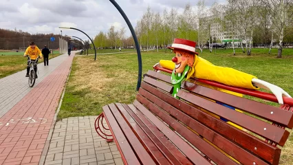В Нижнекамске у клоуна в парке «Солнечная поляна» появилось имя - НТР 24