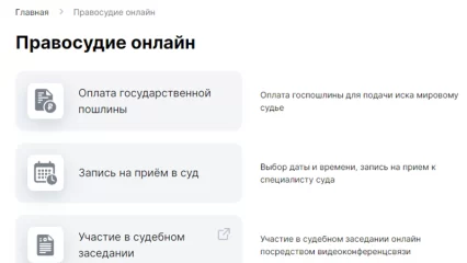 Глава минюста Татарстана объяснил, как записаться к мировому судье через госуслуги - НТР 24