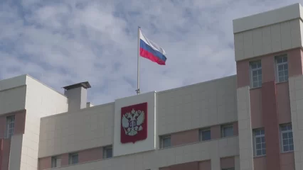 Нижнекамца приговорили к лишению свободы за отказ выполнять обязательные работы - НТР 24