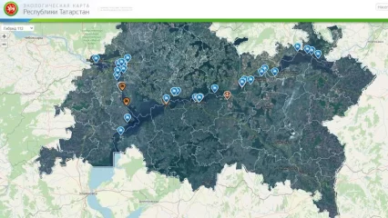 «Экологическая карта РТ» удостоилась призового места на премии «Умный город» - НТР 24