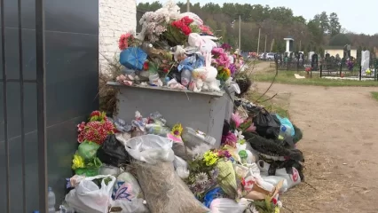 Нижнекамцы пожаловались на мусор на городском кладбище - НТР 24