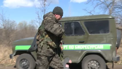 Более 500 нижнекамских охотников получили лицензии на добычу пернатой дичи - НТР 24