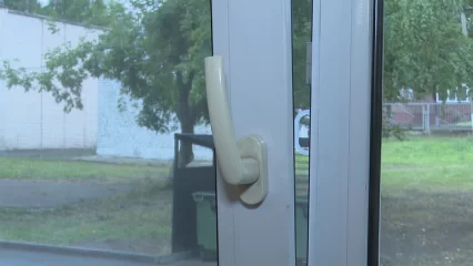 Нижнекамцам напомнили об опасности москитных сеток на окнах для детей - НТР 24