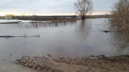 МЧС: в Татарстане возможна вторая волна паводка - НТР 24