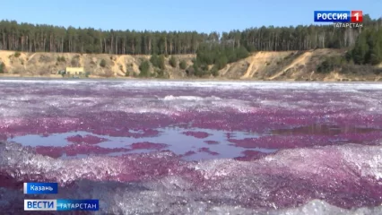 В Казани на льду Изумрудного озера образовалось большое фиолетовое пятно