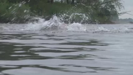 В Нижнекамском районе мужчины спасли тонущих девочек - НТР 24