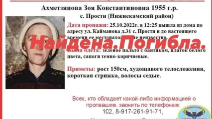 Пропавшая в октябре пенсионерка Зоя Ахметзянова из Нижнекамского района найдена мертвой - НТР 24