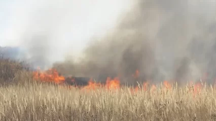 В Нижнекамском районе с начала года произошло 77 пожаров, связанных с возгоранием сухостоя и мусора