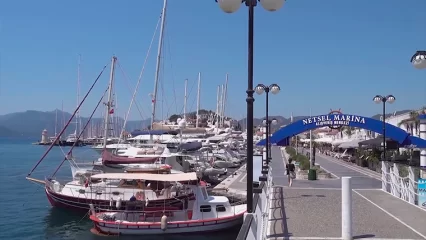 Специалисты из Татарстана стали самыми популярными в ПФО у зарубежных работодателей - НТР 24