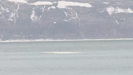 Уровень воды на Нижнекамском водохранилище за сутки поднялся на 3 см - НТР 24