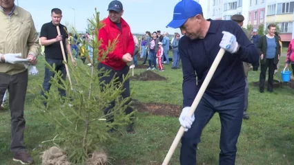 Нижнекамцы вместе с мэром посадили 270 елей в рамках акции «Сад памяти»