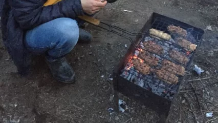 Нижнекамцам перечислили список мест, где с 17 апреля запрещено жарить шашлыки - НТР 24