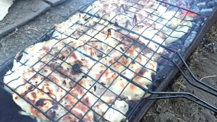 Татарстанцам напомнили о запрете на шашлыки и сжигание мусора с 17 апреля - НТР 24