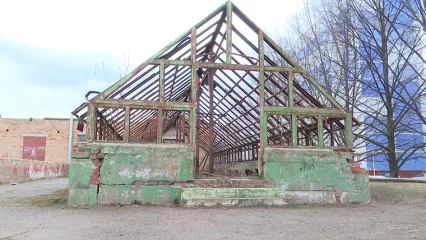 В Нижнекамске сносят старые теплицы на территориях школ - НТР 24