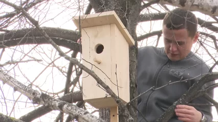 18 новых скворечников повесили нижнекамцы в своем дворе ко Дню птиц - НТР 24