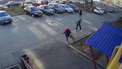 В Нижнекамске домашняя собака на поводке укусила ребенка — видео - НТР 24