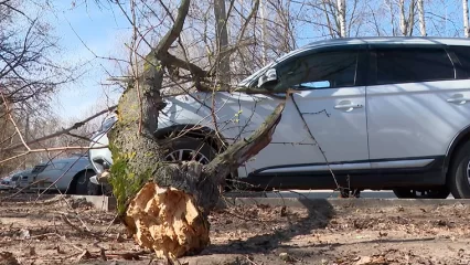 Упавшее на машину дерево, сломанный светофор - последствия сильного ветра в Нижнекамске