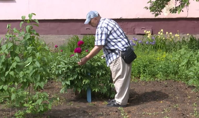 В Нижнекамске жильцы дома поссорились с соседом, который тратит общедомовую воду на полив цветов