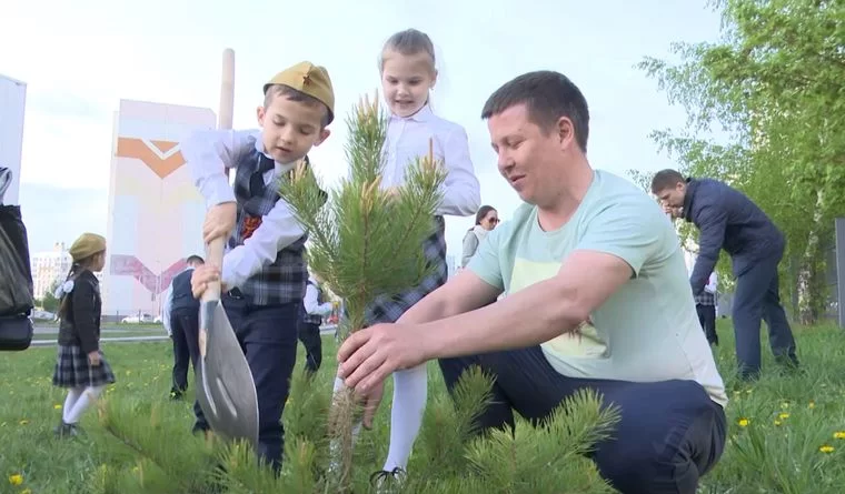 В Нижнекамске около школы высадили сосновую аллею, посвященную мобилизованным отцам учеников