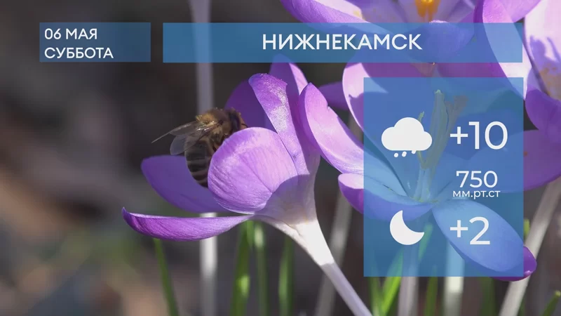 Прогноз погоды в Нижнекамске на 6-е мая 2023 года