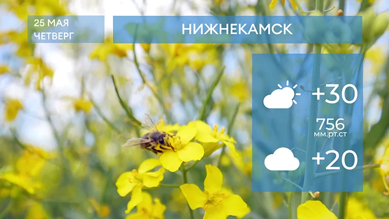 Прогноз погоды в Нижнекамске на 25-е мая 2023 года