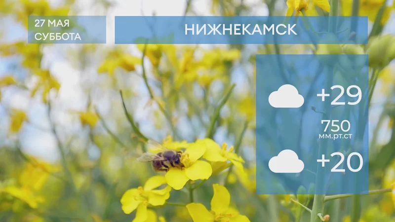 Прогноз погоды в Нижнекамске на 27-е мая 2023 года
