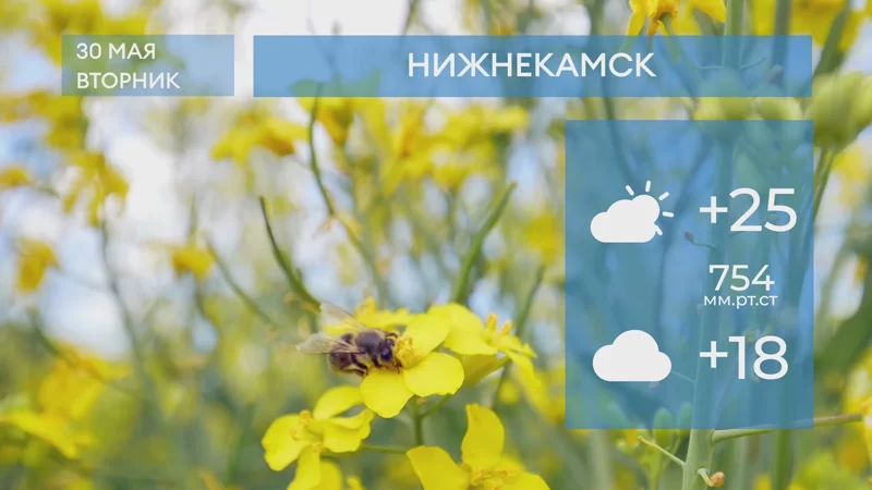 Погода в Нижнекамске на 30-е мая 2023 года