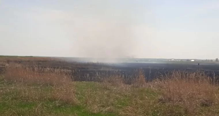 В Нижнекамске при пожаре на поле в районе ул. Гайнуллина погиб человек